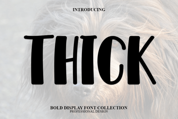 Thick: The Modern Display Font That Commands Attention